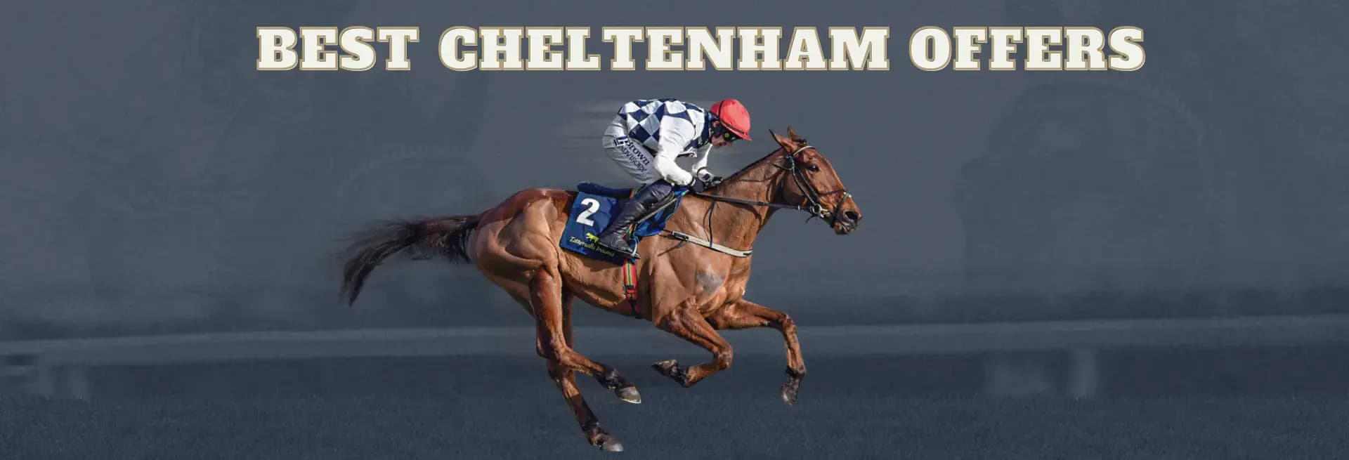 best cheltenham offers